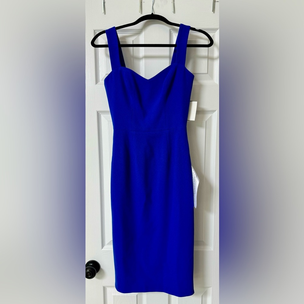 NWT DRESS THE POPULATION DRESS